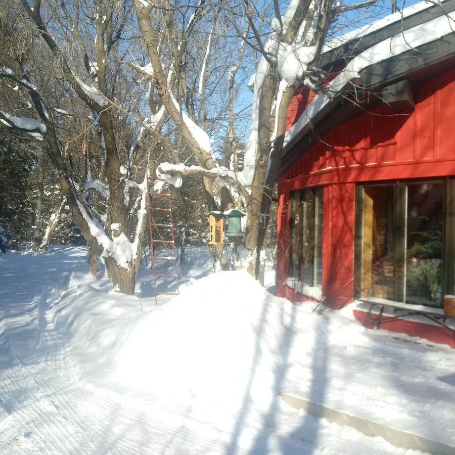 Hotel The Retreat House Blue Mountain Blue Mountains Exteriér fotografie